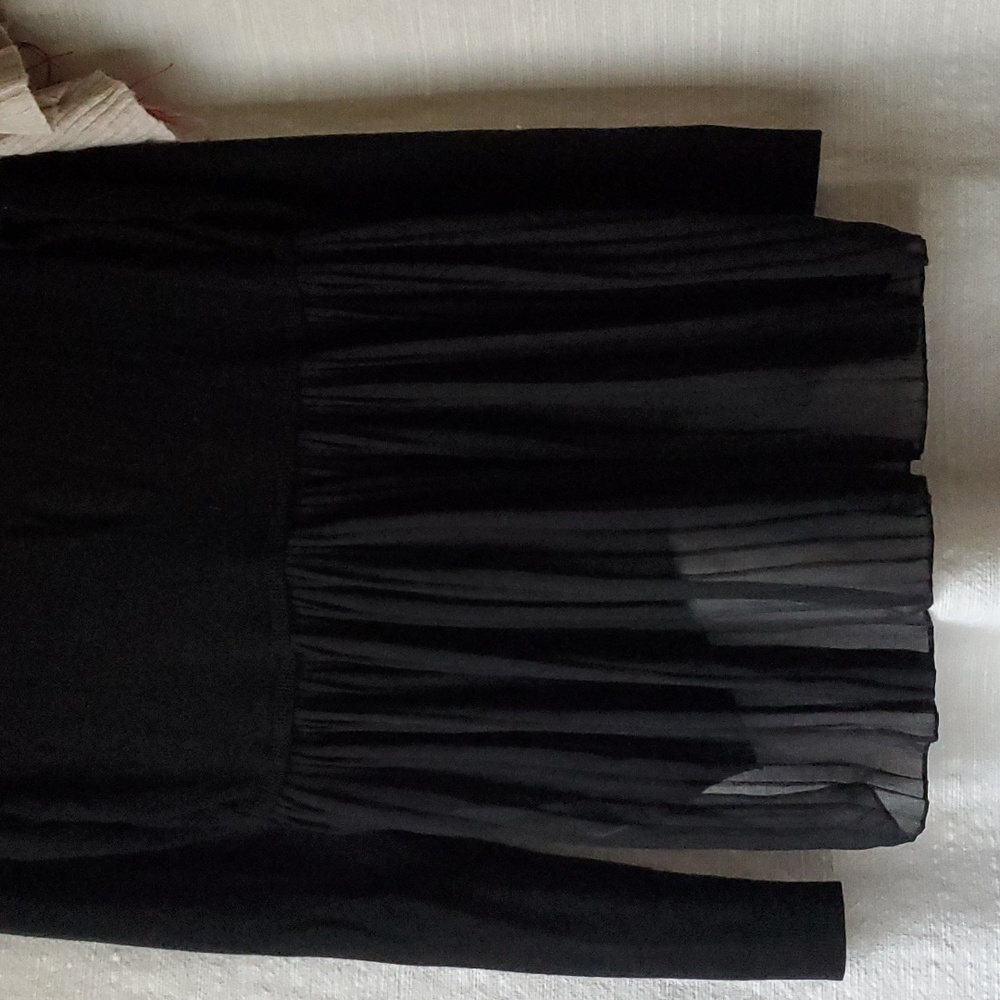 EXPRESS Long Sleeve Sweater Sheer Pleated on Half of Back Black Medium